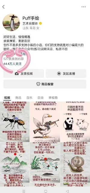 Puff手绘视频号分成项目，三天过分成计划，简单易上手，适合新手-2