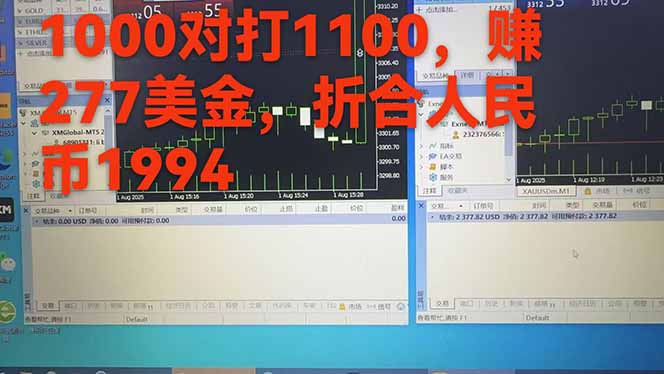 稳定8年的美刀搬砖项目，单人每日收益800—3000.团队4人月入10W+.可线下-6